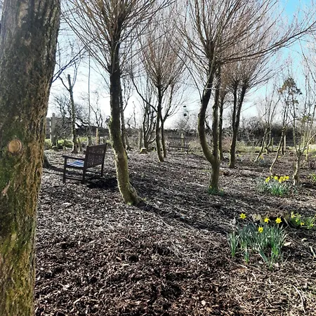 The Wild Atlantic Neurodiversity Autism Sanctuary * Milltown Malbay