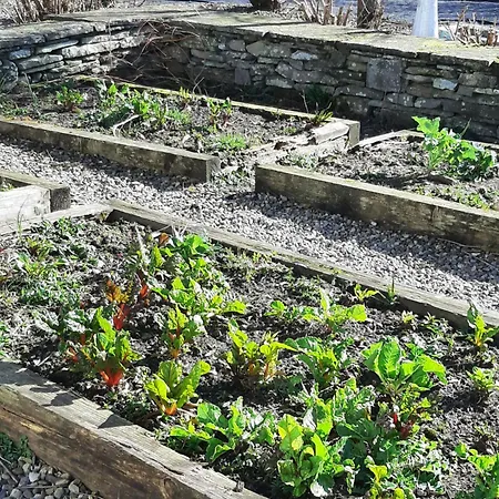 The Wild Atlantic Neurodiversity Autism Sanctuary *