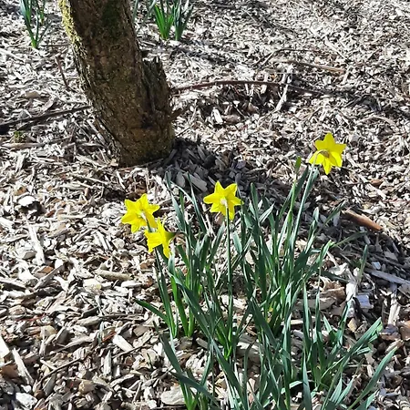 Apartment The Wild Atlantic Neurodiversity Autism Sanctuary