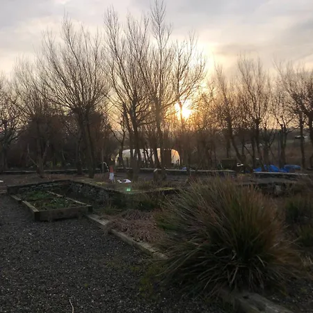 Апартаменты The Wild Atlantic Neurodiversity Autism Sanctuary *