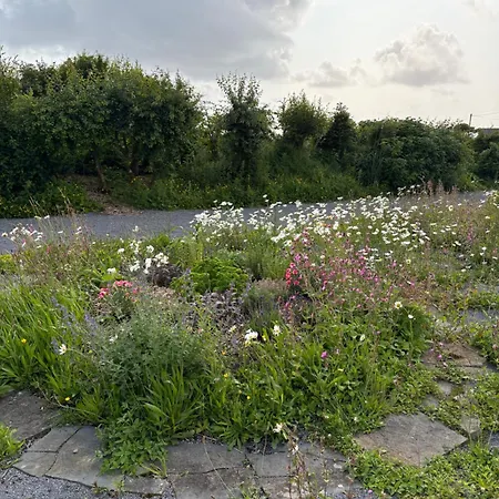 Апартаменты The Wild Atlantic Neurodiversity Autism Sanctuary *