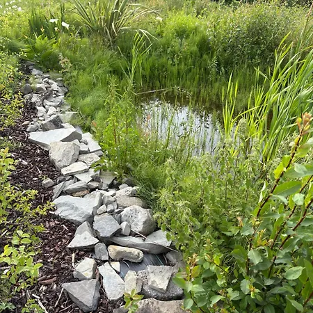 The Wild Atlantic Neurodiversity Autism Sanctuary *