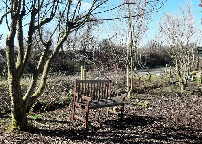 Apartamento The Wild Atlantic Neurodiversity Autism Sanctuary