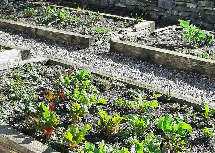 The Wild Atlantic Neurodiversity Autism Sanctuary *