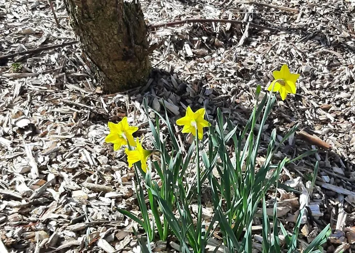 Apartamento The Wild Atlantic Neurodiversity Autism Sanctuary