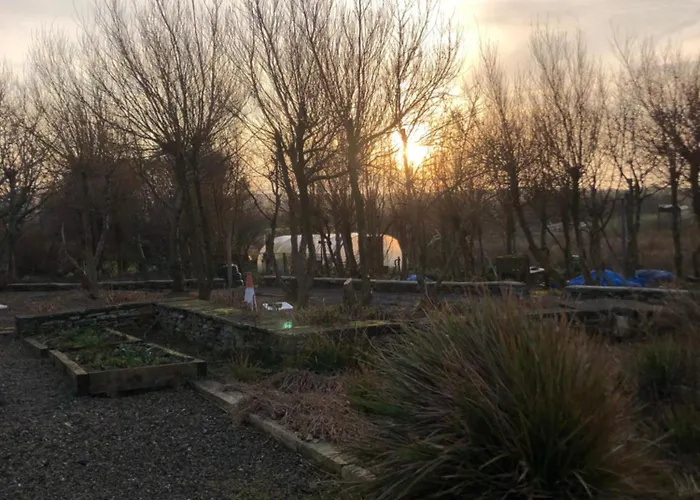 Lägenhet The Wild Atlantic Neurodiversity Autism Sanctuary *