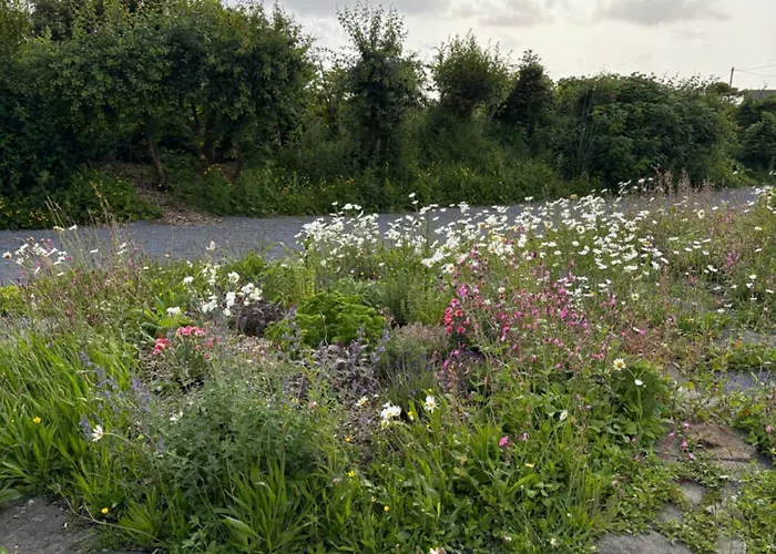 Lägenhet The Wild Atlantic Neurodiversity Autism Sanctuary *