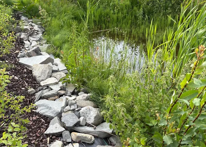 The Wild Atlantic Neurodiversity Autism Sanctuary *